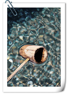 135758vnn9w9a9a9jvamw3 (1).jpg