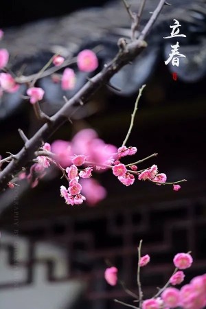 ef54f3da7c4747799c6884ba077a5b40 (1)_副本.jpg