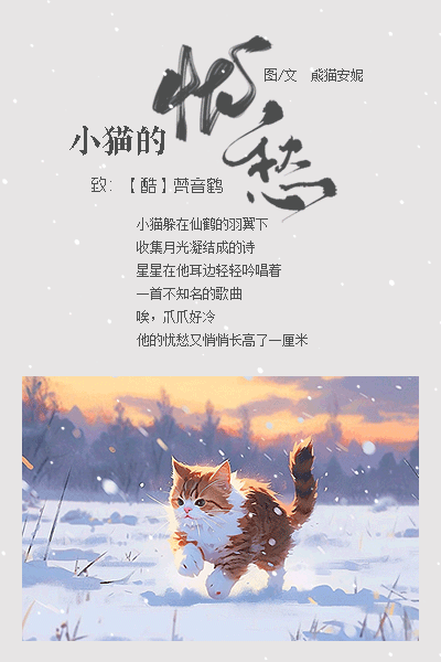 小猫的忧愁.gif