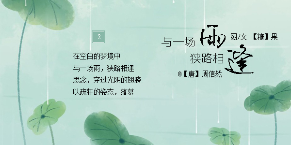 与一场雨，狭路相逢2.jpg