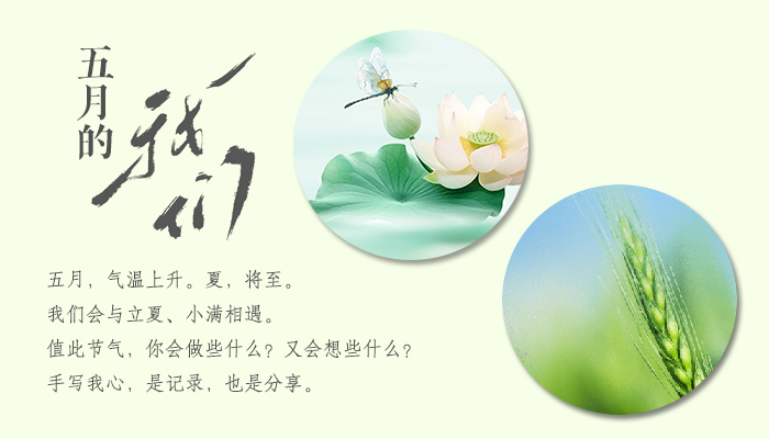 五月的我们.jpg
