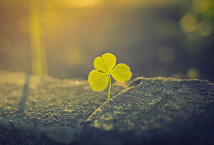 353933 拷贝111.jpg