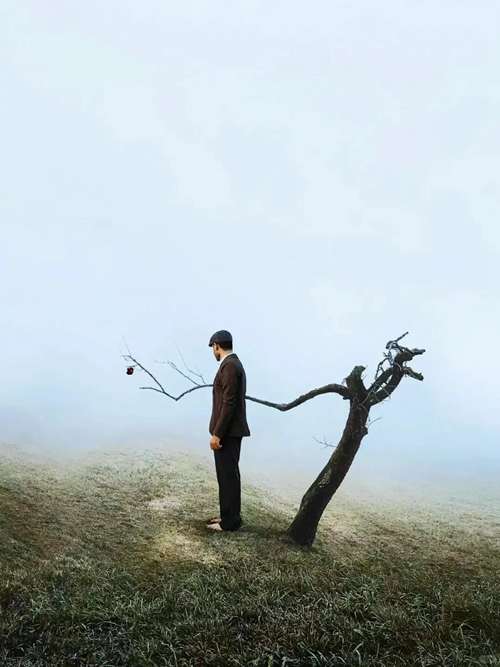 Hossein Goshtasbi ｜旷野上有来去自如的风_15_MOFEI摄影笔记_来自小红书网页版.jpg