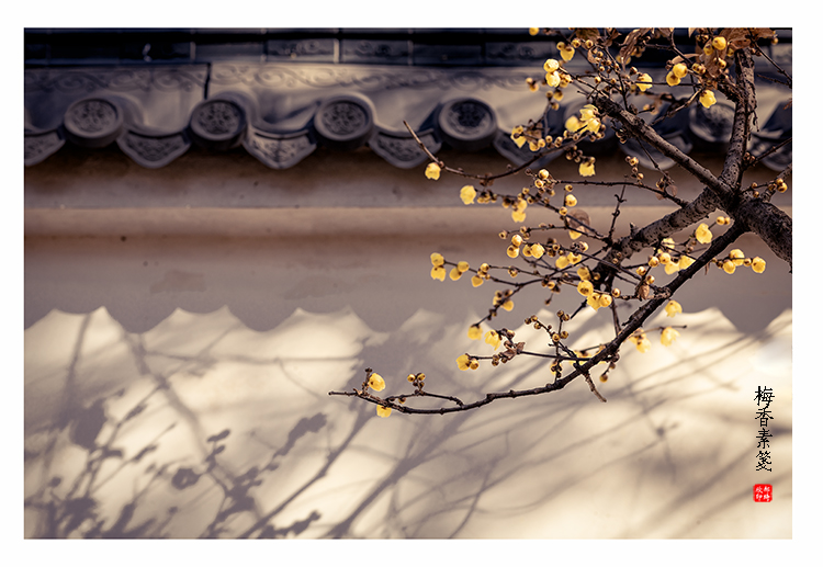 梅香素笺小3.jpg