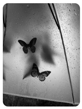 002916z7uj4ue7xq68c6vq (1).jpg