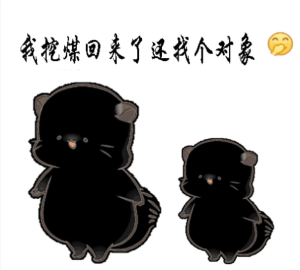 e4908a3dd9ecece23eeca54a79ba818c (1).jpg