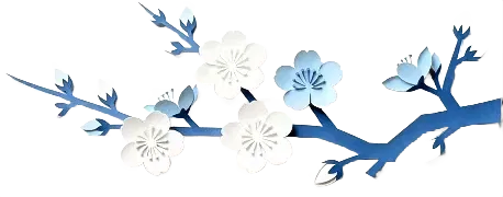 692210583203f7be00223678 (1).webp