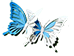 蝴蝶。。.png