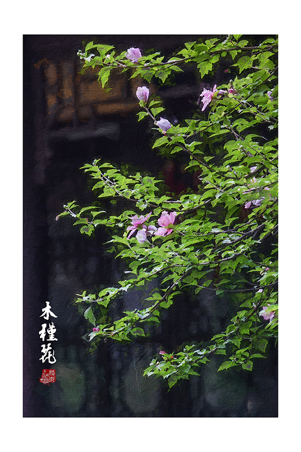 油画感10 拷贝.jpg