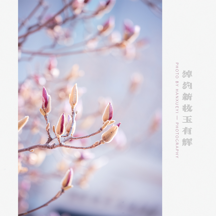 绰约新妆玉有辉 拷贝.jpg