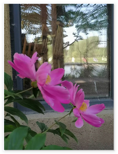 QQ_1780459965903.png