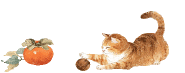 144235fzibqlolupqoq1yp.gif