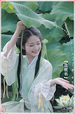 枕书动态.gif