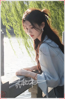 枕书动态.gif