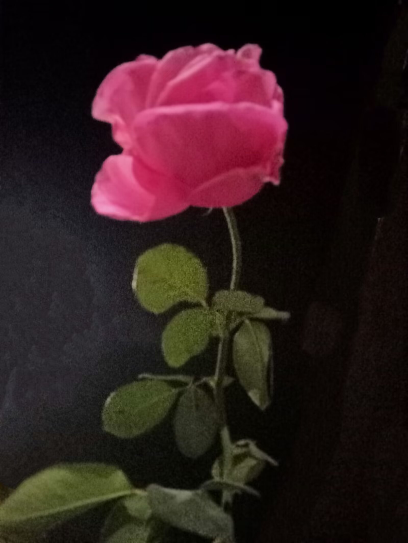 Image_1783344089688_32.jpg