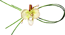 花饰.png
